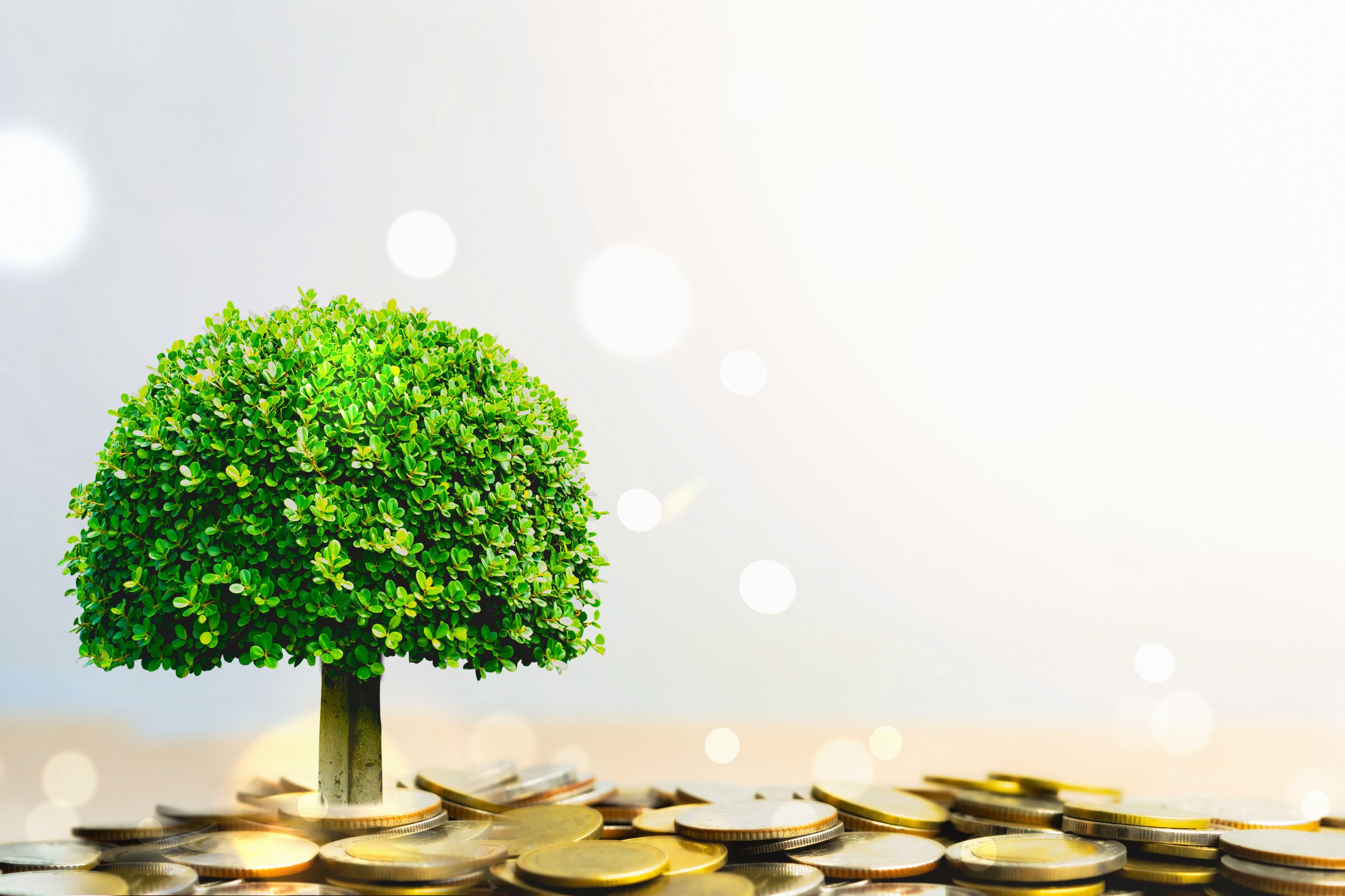 SECURE Act May Put A Stop To Most Stretch Individual Retirement Account